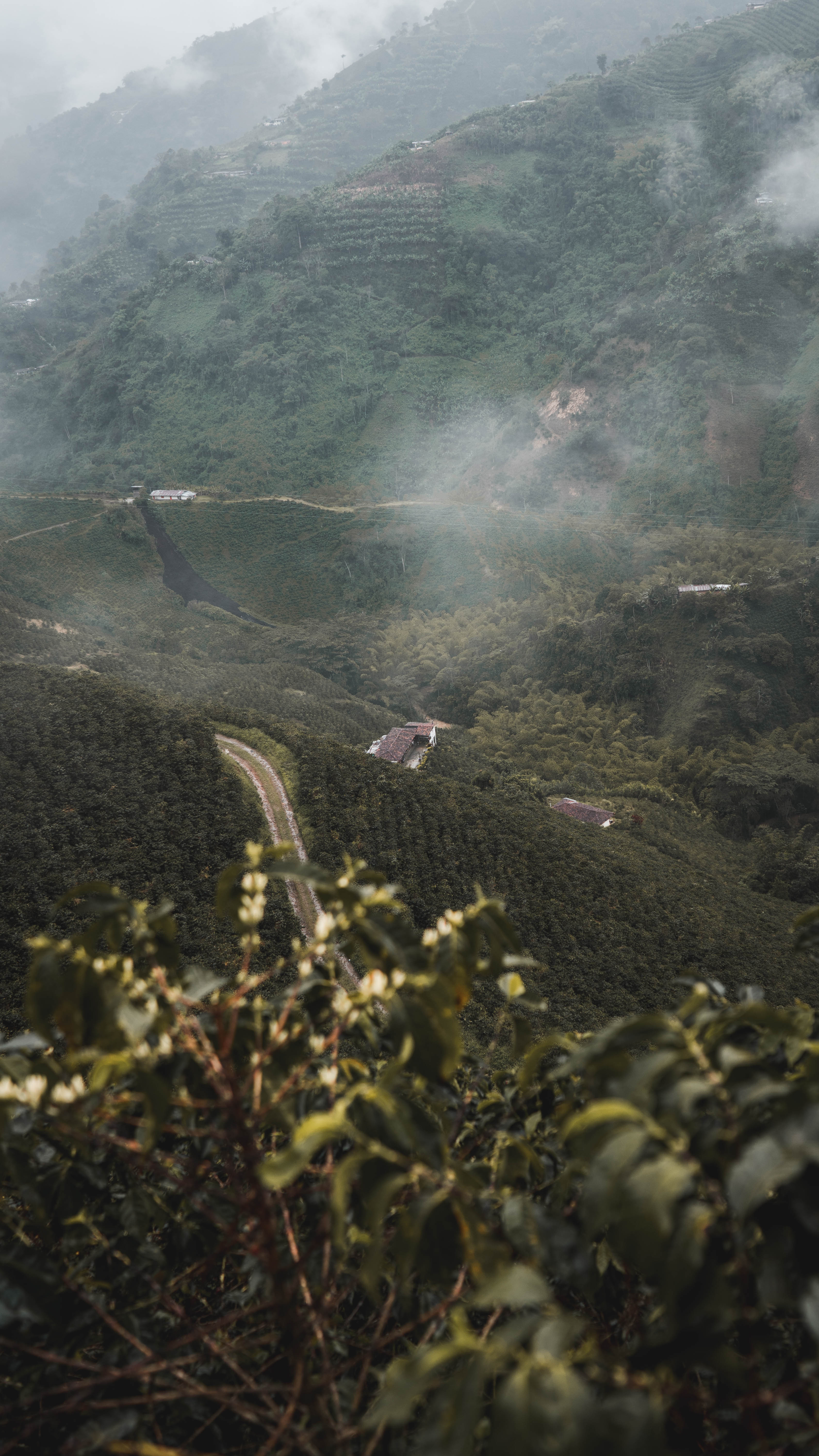 Así Elegimos Tu Café: La Historia de MANO DE DIOS