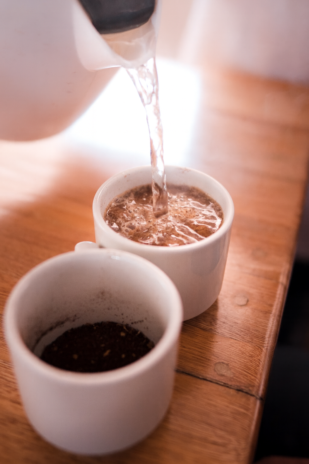 Cata Profesional para Principiantes – Vive tu Primer Taller de Café de Especialidad