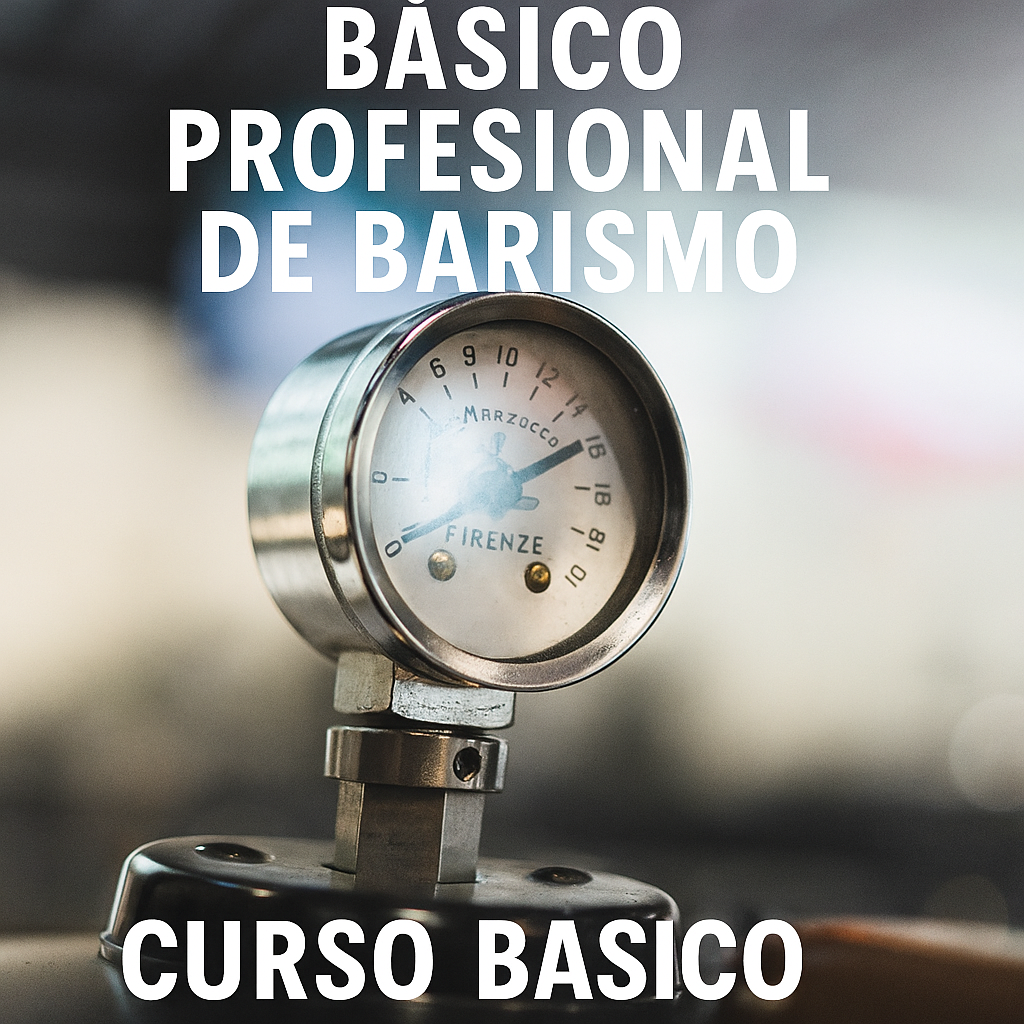 Curso Profesional de Barismo Básico – Aprende a Preparar Café como un Experto